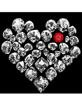 True Love Mushie Tee