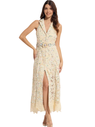 Sleeveless Eyelit Button Down Maxi Dress