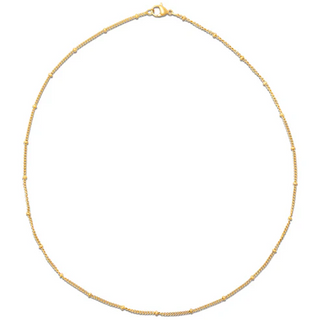Ellie Vail Helsa Dainty Beaded Chain Necklace