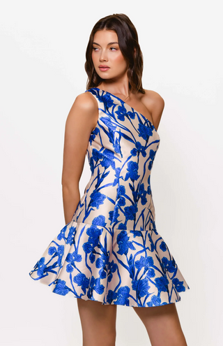 Hutch Silas One Shoulder Mini Dress